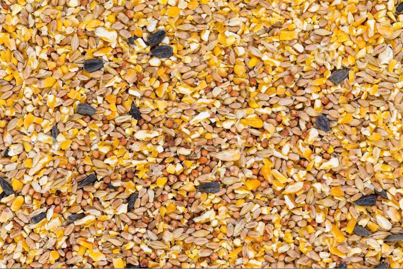 Grains